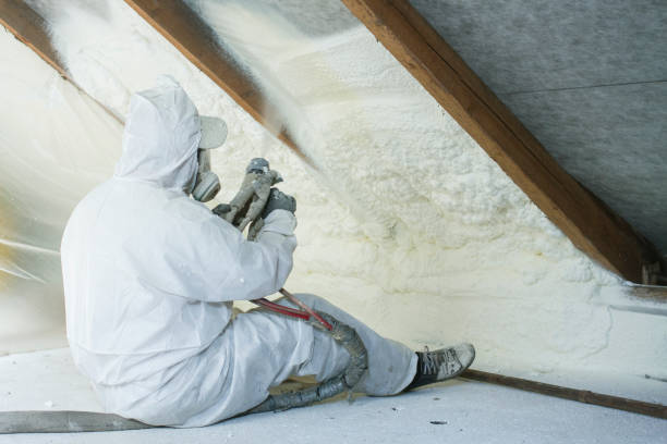 Best Garage Insulation  in Palmyra, MO